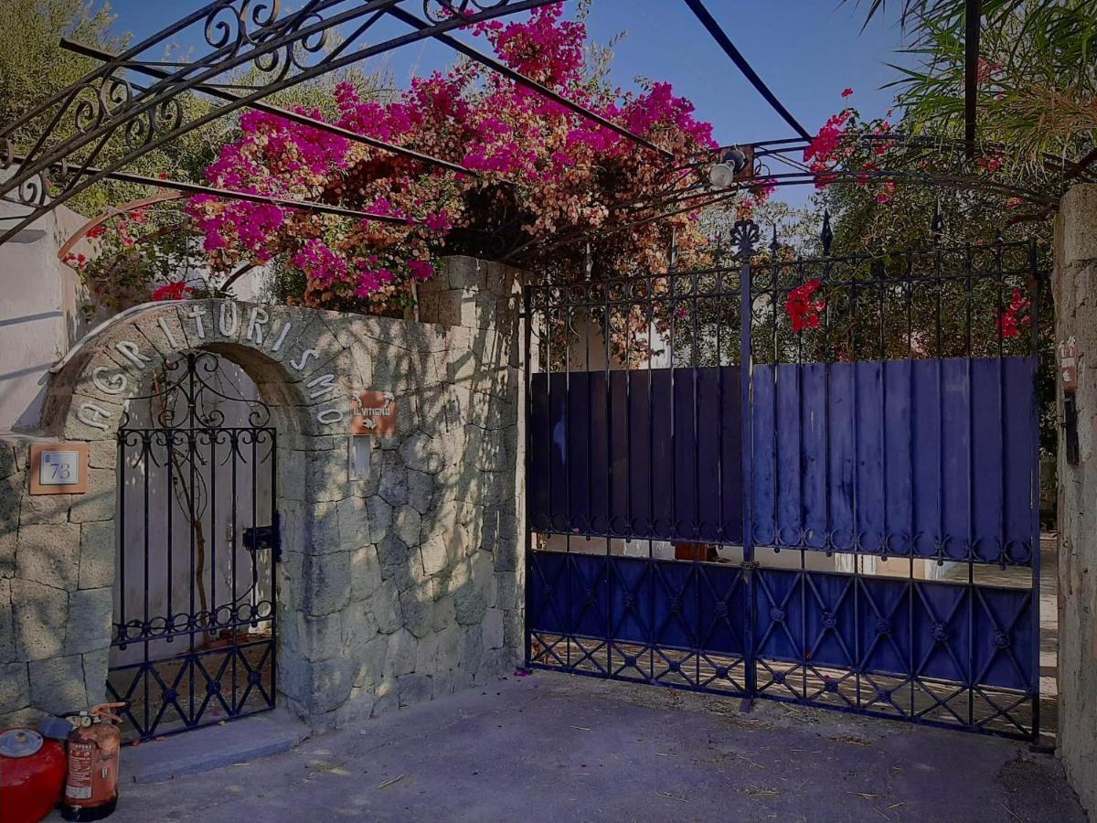 Il Vitigno Di Dioniso Hotel Forio di Ischia Exterior foto