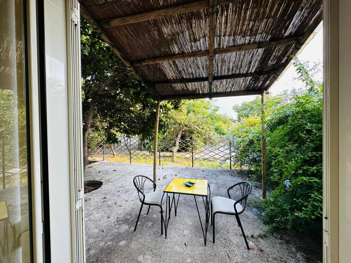 Il Vitigno Di Dioniso Hotel Forio di Ischia Exterior foto