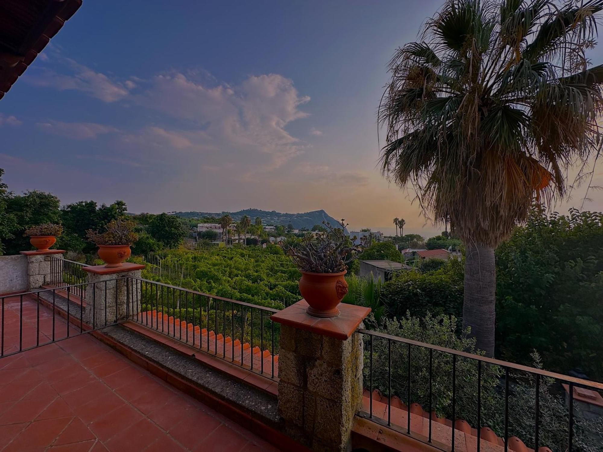 Il Vitigno Di Dioniso Hotel Forio di Ischia Exterior foto