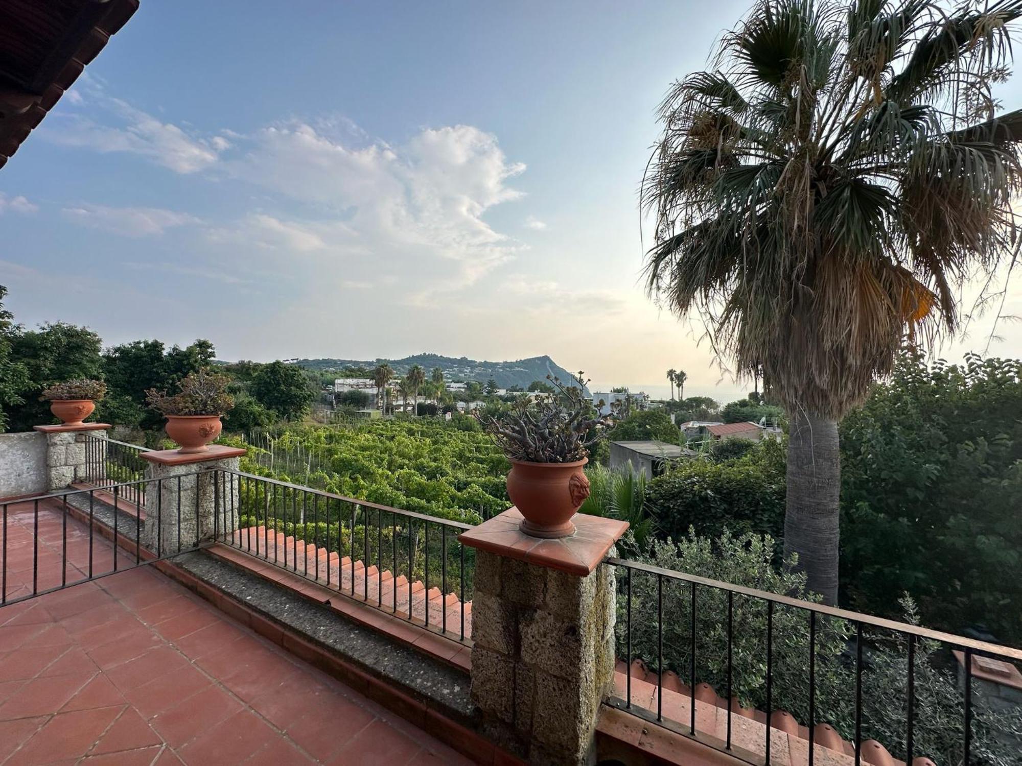 Il Vitigno Di Dioniso Hotel Forio di Ischia Exterior foto